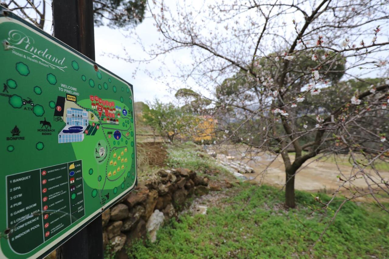 Pineland Hotel And Health Resort Ḩammānā Extérieur photo
